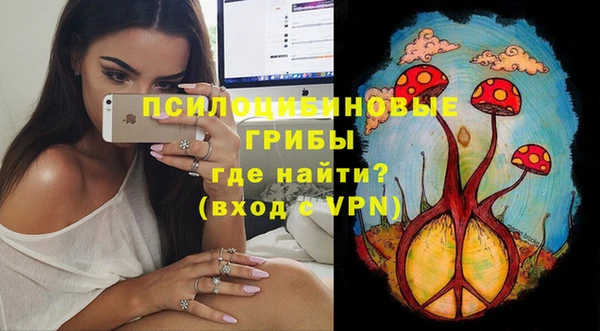 прущая мука Армянск