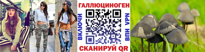 мега ТОР  Вязники  Галлюциногенные грибы GOLDEN TEACHER 