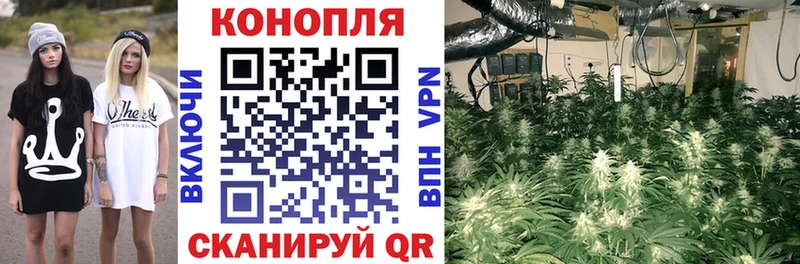 Бошки Шишки план Вязники